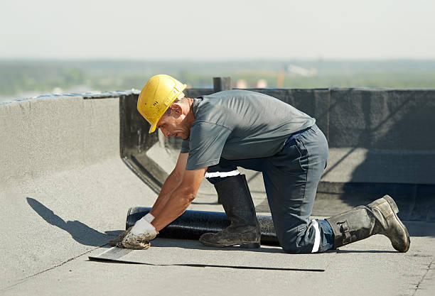 Best Geographic-Specific Insulation Services in Syosset, NY