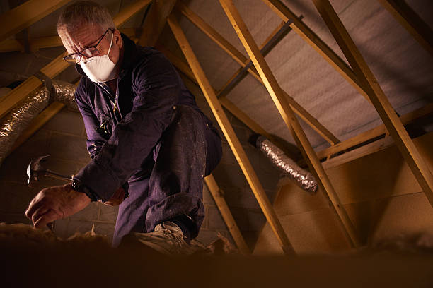 Best Insulation Maintenance and Repair in Syosset, NY